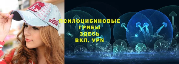 крисы Щучье