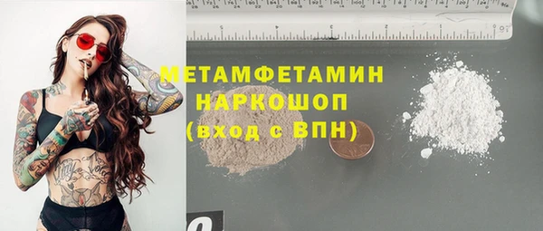 прущие грибы Кулебаки