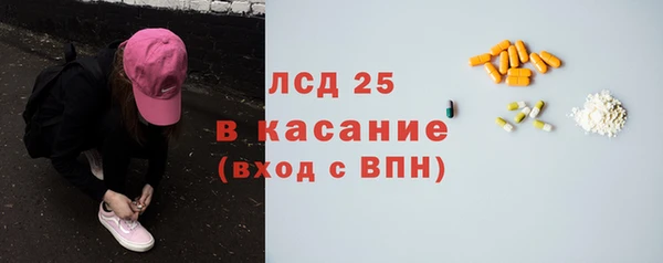 прущие грибы Кулебаки