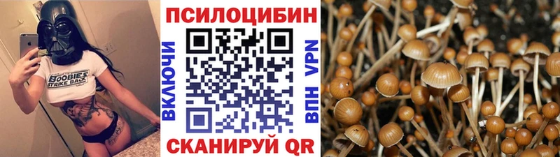Псилоцибиновые грибы MAGIC MUSHROOMS  Луховицы 