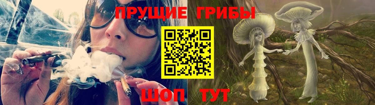Луховицы  Псилоцибиновые грибы мицелий  Вход с VPN  Галлюциногенные грибы Psilocybine cubensis 